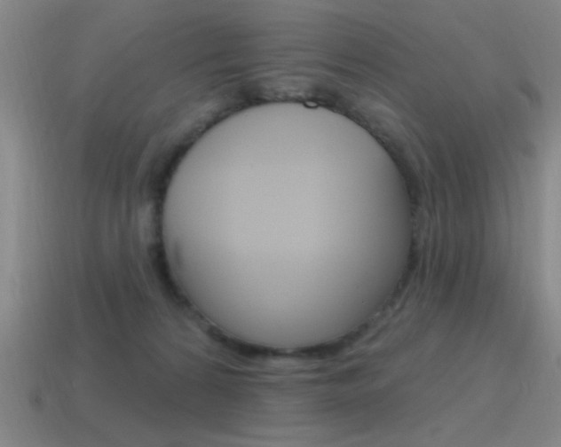 X0000115650224200911101123