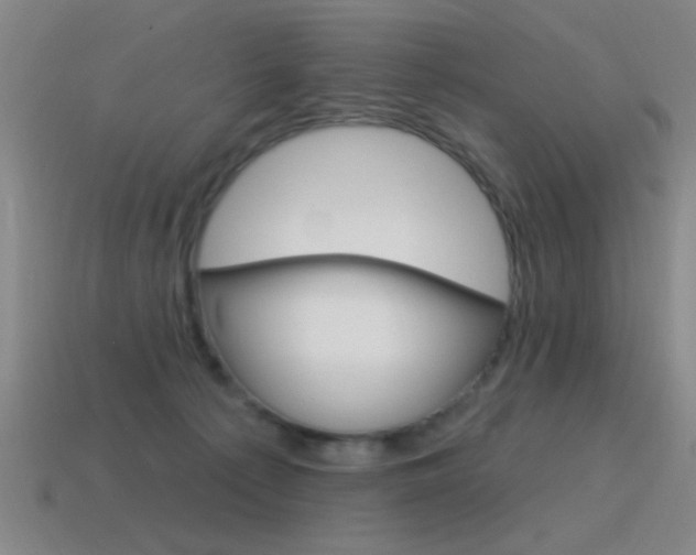 X0000115650225200911101123