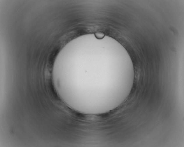X0000115650226200911101123