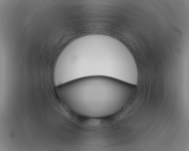 X0000115650227200911101123