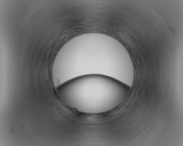 X0000115650229200911101123
