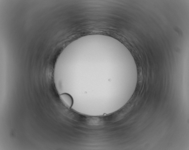 X0000115650230200911101123