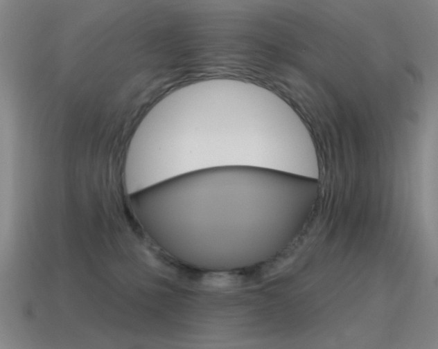 X0000115650231200911101123
