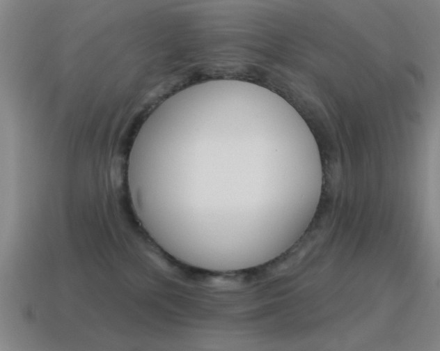 X0000115650232200911101123