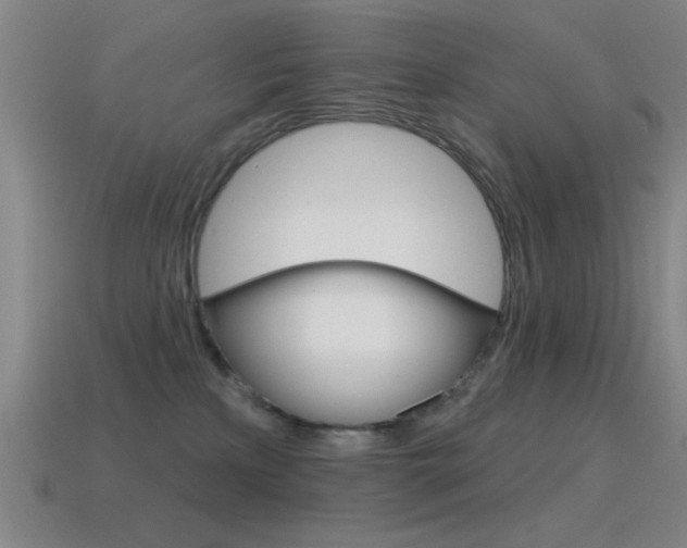 X0000115650233200911101123