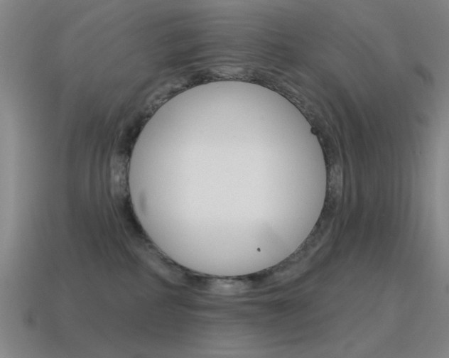 X0000115650234200911101123