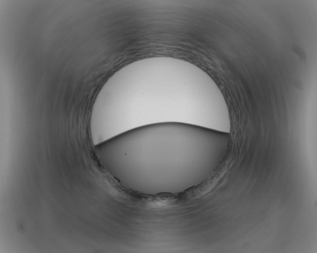 X0000115650235200911101123