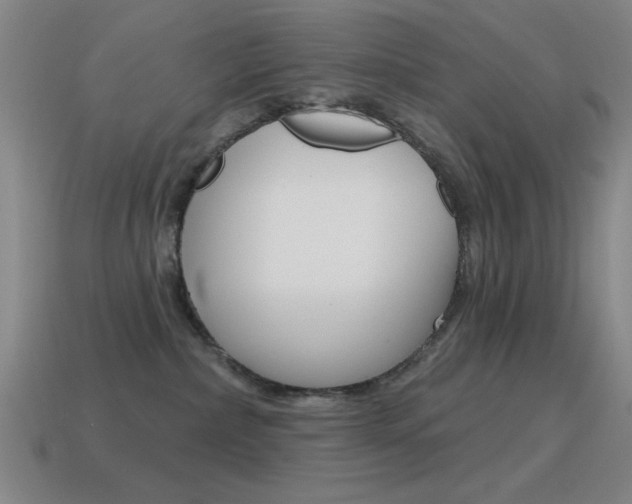 X0000115650236200911101123