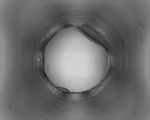 X0000115650237200911101123