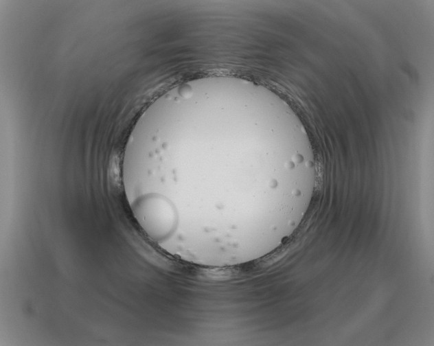 X0000115650238200911101123