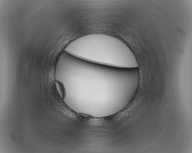 X0000115650240200911101123