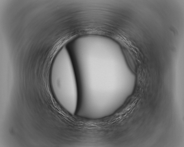 X0000115650241200911101122