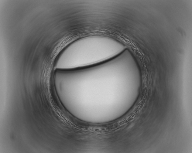 X0000115650242200911101122