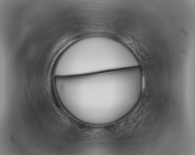 X0000115650243200911101122