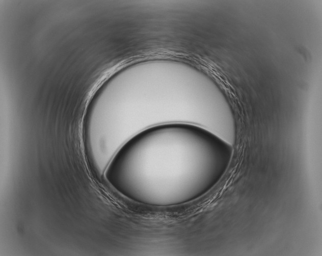 X0000115650244200911101122