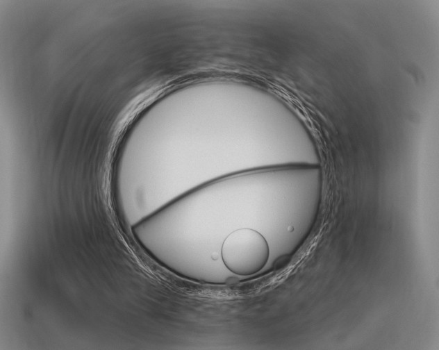 X0000115650245200911101122