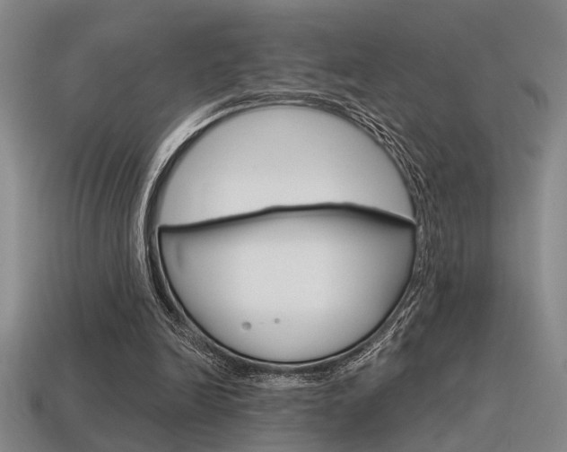 X0000115650246200911101122