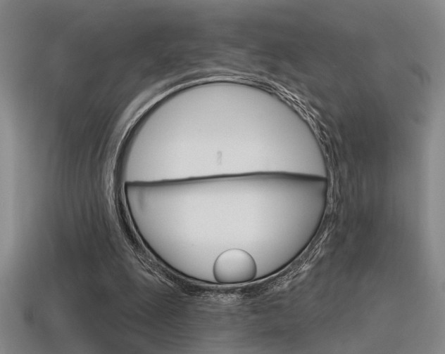 X0000115650247200911101122
