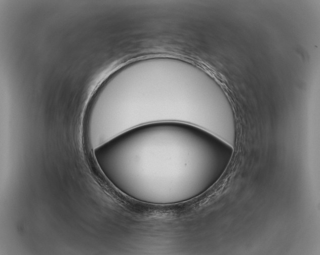 X0000115650248200911101122