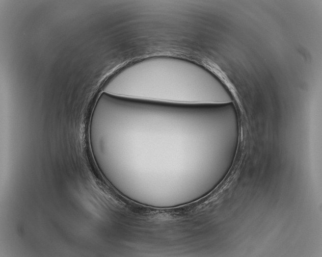 X0000115650249200911101122