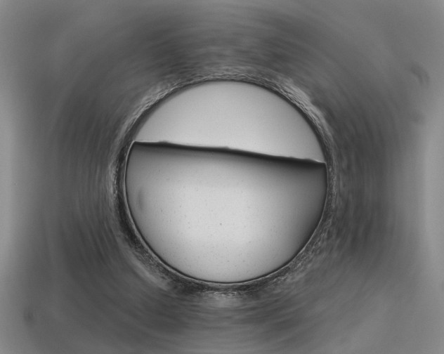 X0000115650250200911101122