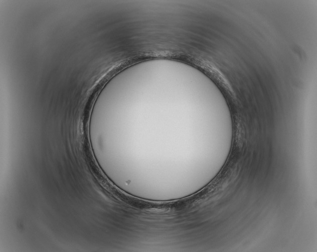 X0000115650251200911101122
