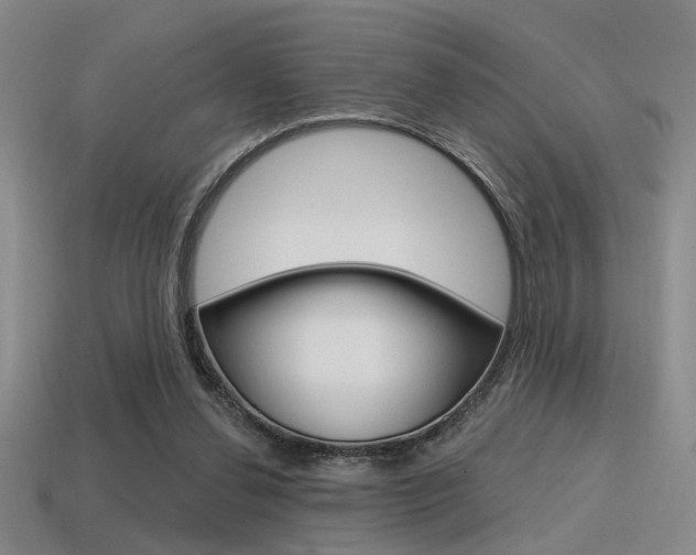 X0000115650252200911101122