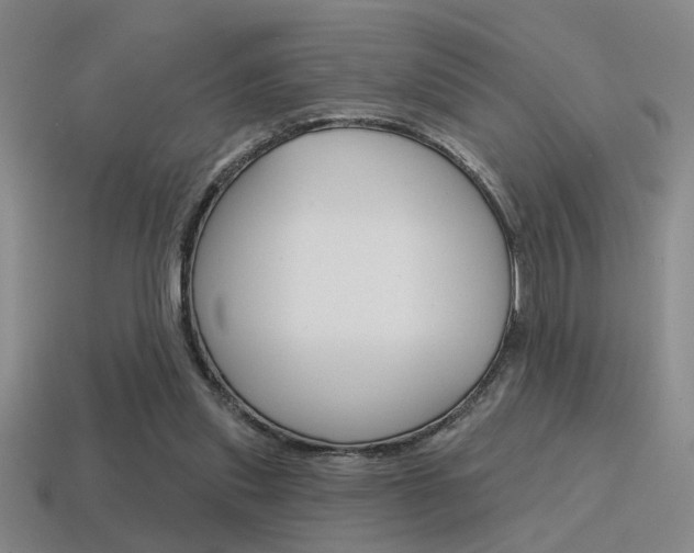 X0000115650253200911101122