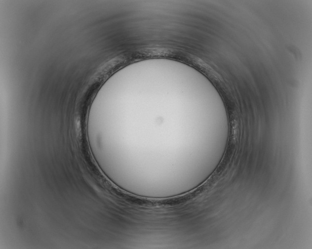 X0000115650254200911101122