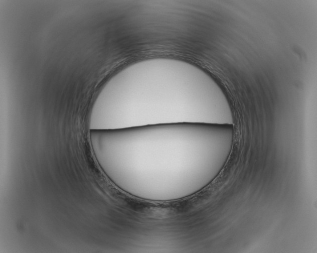 X0000115650255200911101122