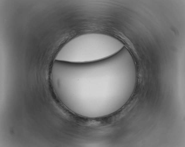 X0000115650257200911101122