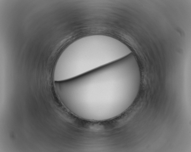 X0000115650258200911101122