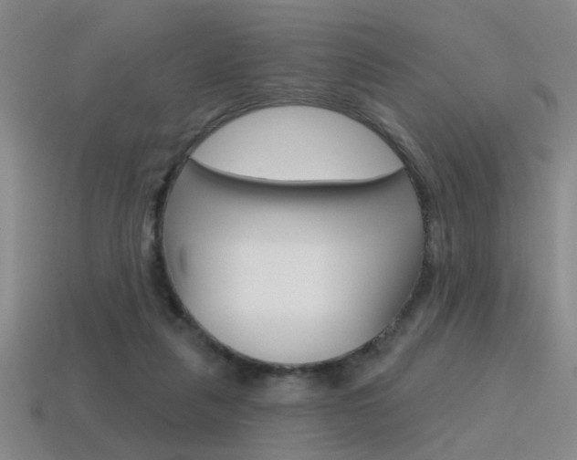 X0000115650259200911101122