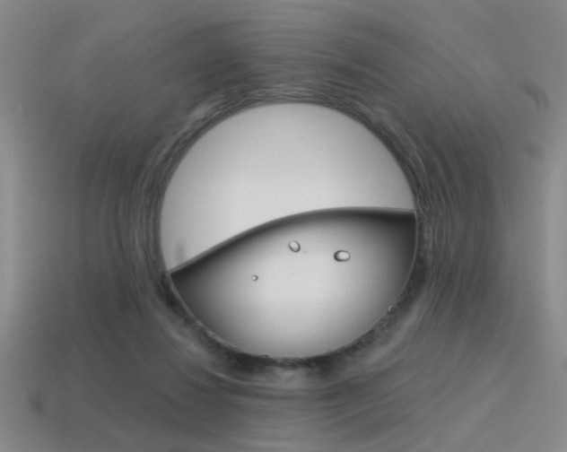 X0000115650260200911101122