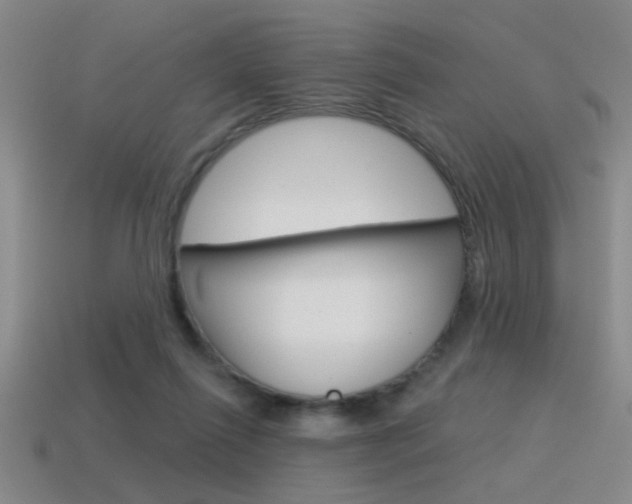X0000115650262200911101122