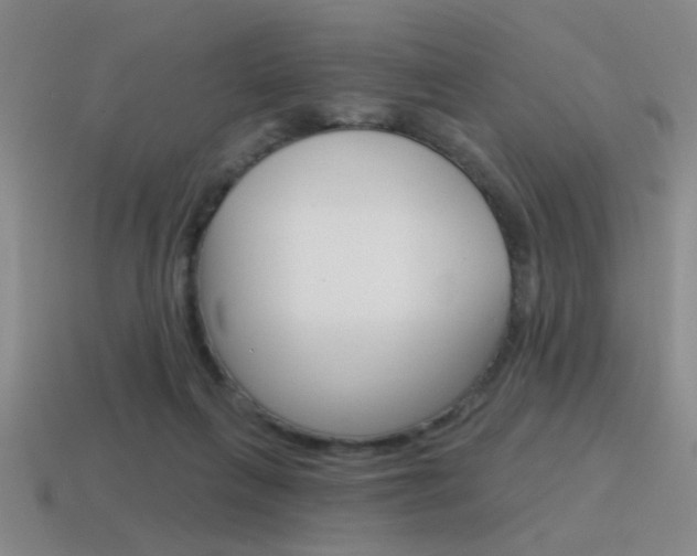 X0000115650263200911101122