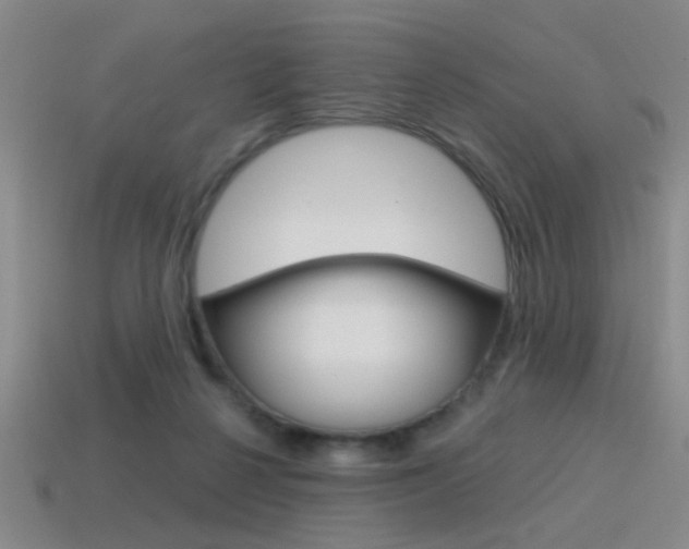 X0000115650264200911101122