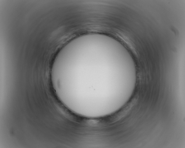 X0000115650265200911101122