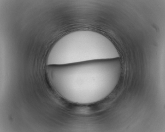 X0000115650266200911101122