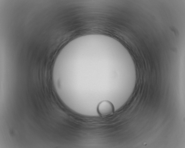 X0000115650268200911101122