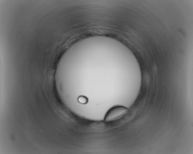 X0000115650271200911101122