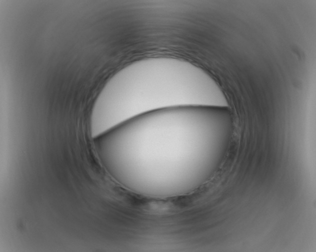 X0000115650272200911101122