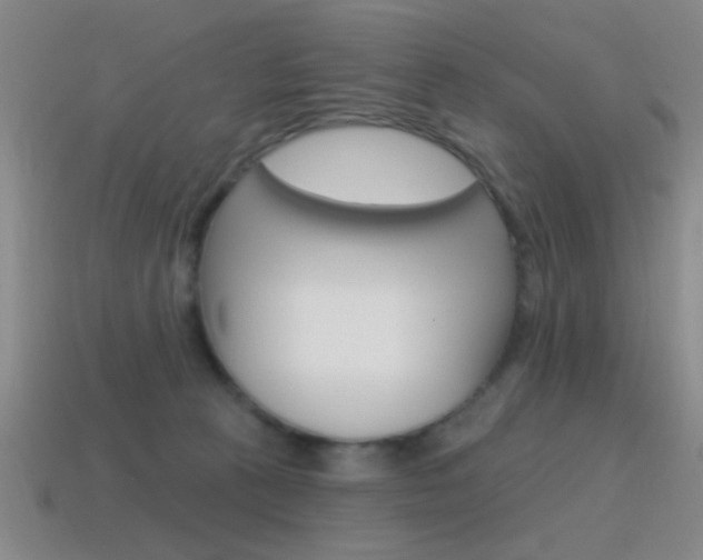 X0000115650273200911101122