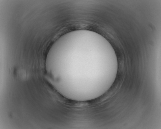 X0000115650274200911101122