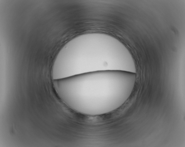 X0000115650277200911101122