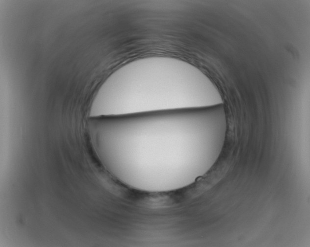 X0000115650278200911101123