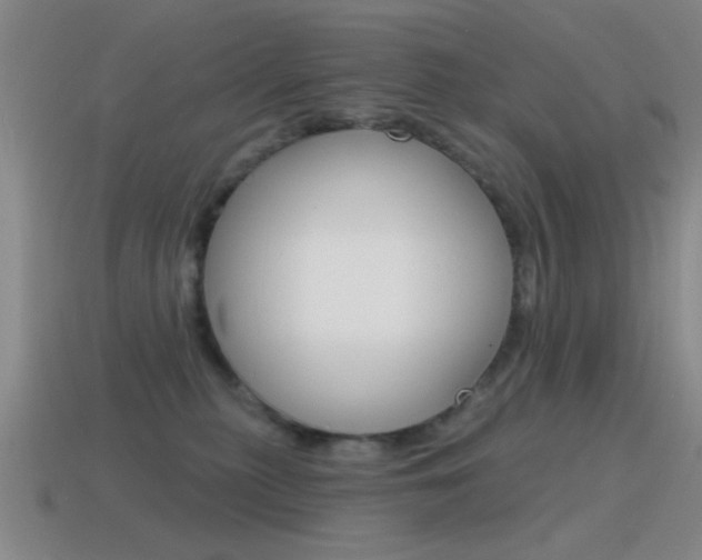 X0000115650279200911101123