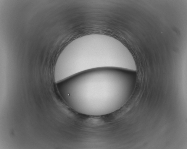 X0000115650280200911101123