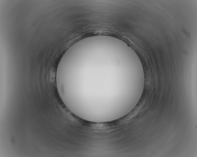 X0000115650281200911101123