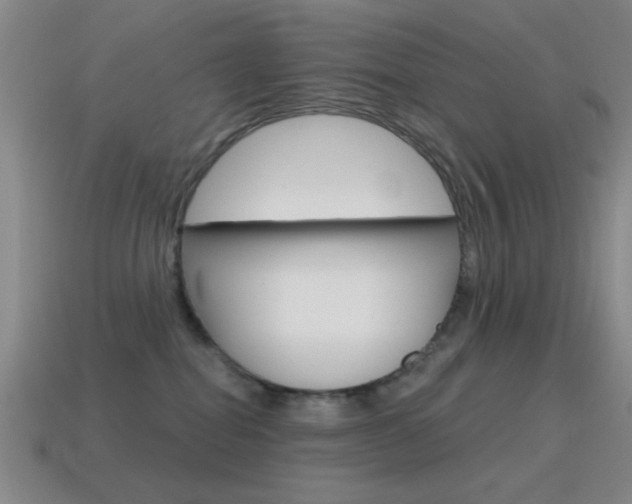X0000115650282200911101123